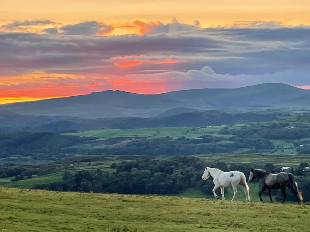 Two horses silhouetted against a sunset over the countryside