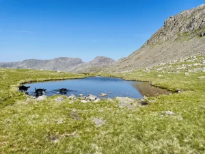 Esk Pike, Bowfell and Three Tarns