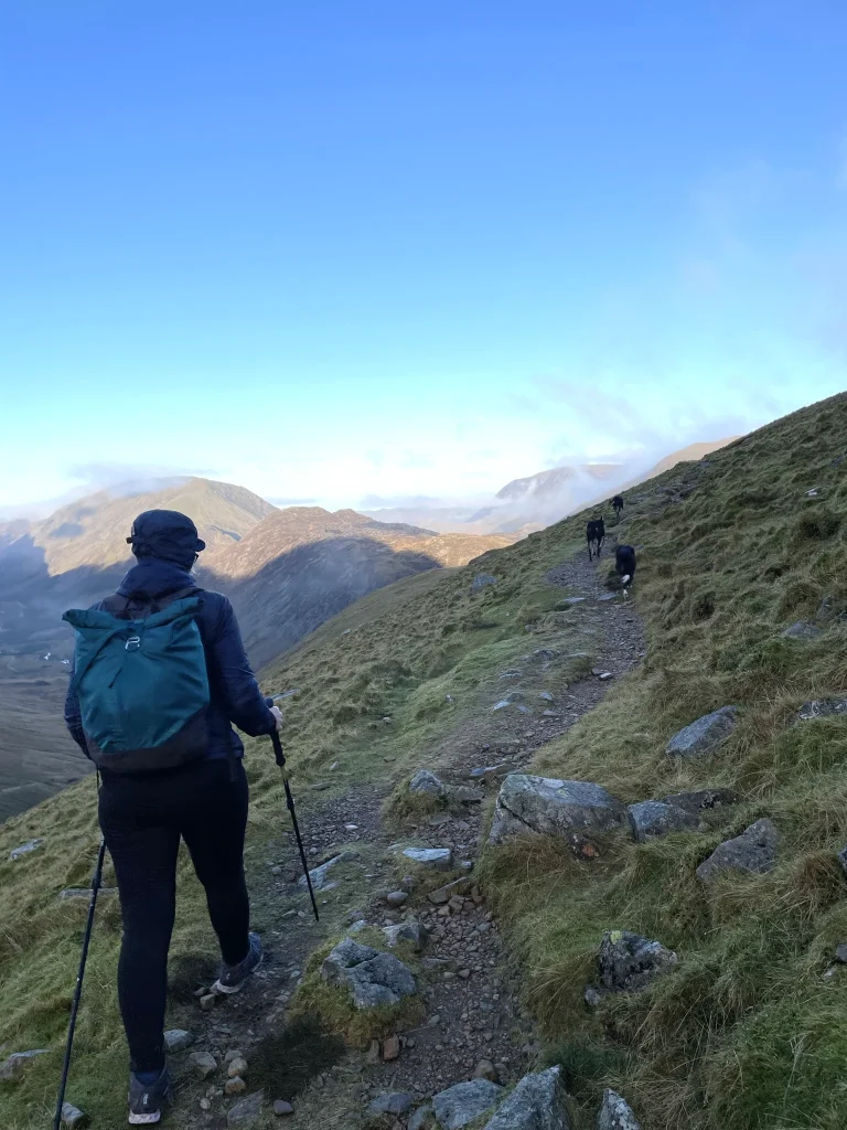 Walkers and dogs hiking fell path near Kirk Fell and Great Gable