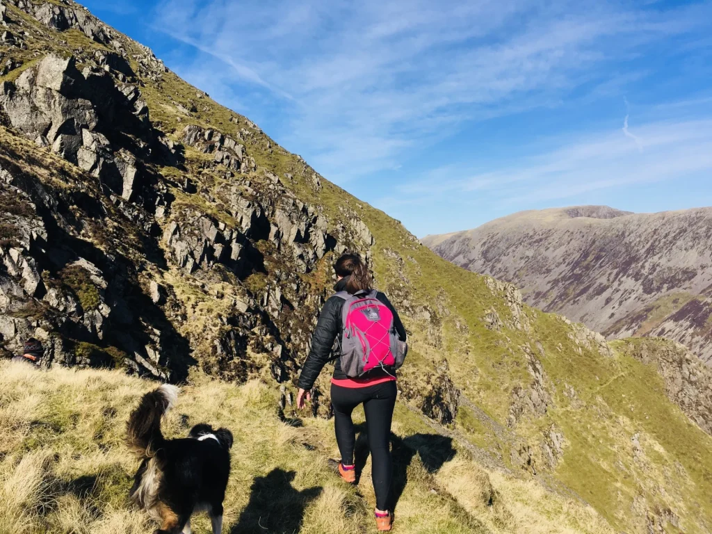 Walker and Blea the dog on the Pillar fells above Ennerdale