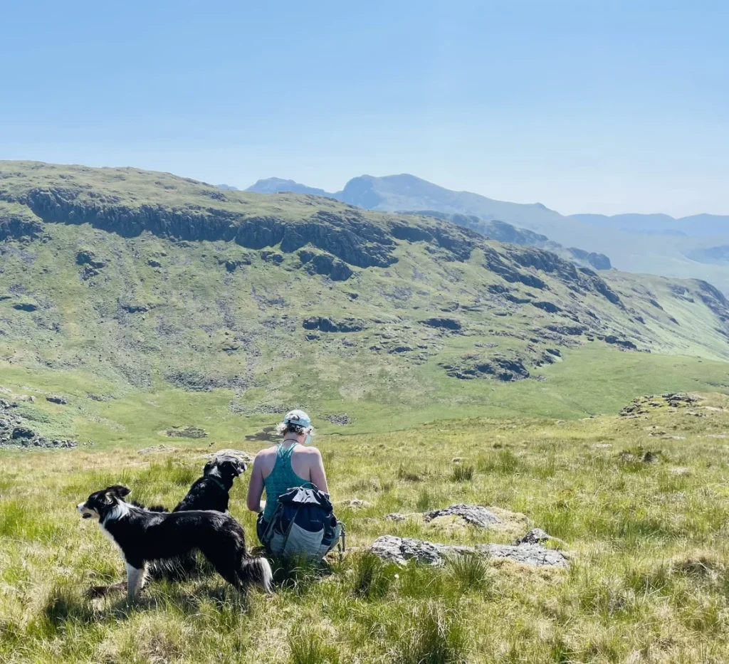 Walker resting with Blea and another dog on fells near Red Pike and Scoat Fell