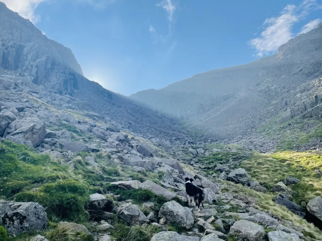 Blea the dog walking through rocky valley below Scafell Pike and Lingmell