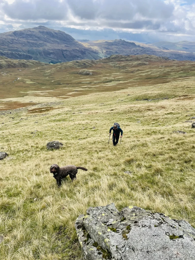 Walker and dog climbing Slight Side above Eskdale