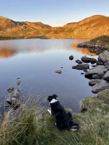 Sunrise and Sunset Walk 2