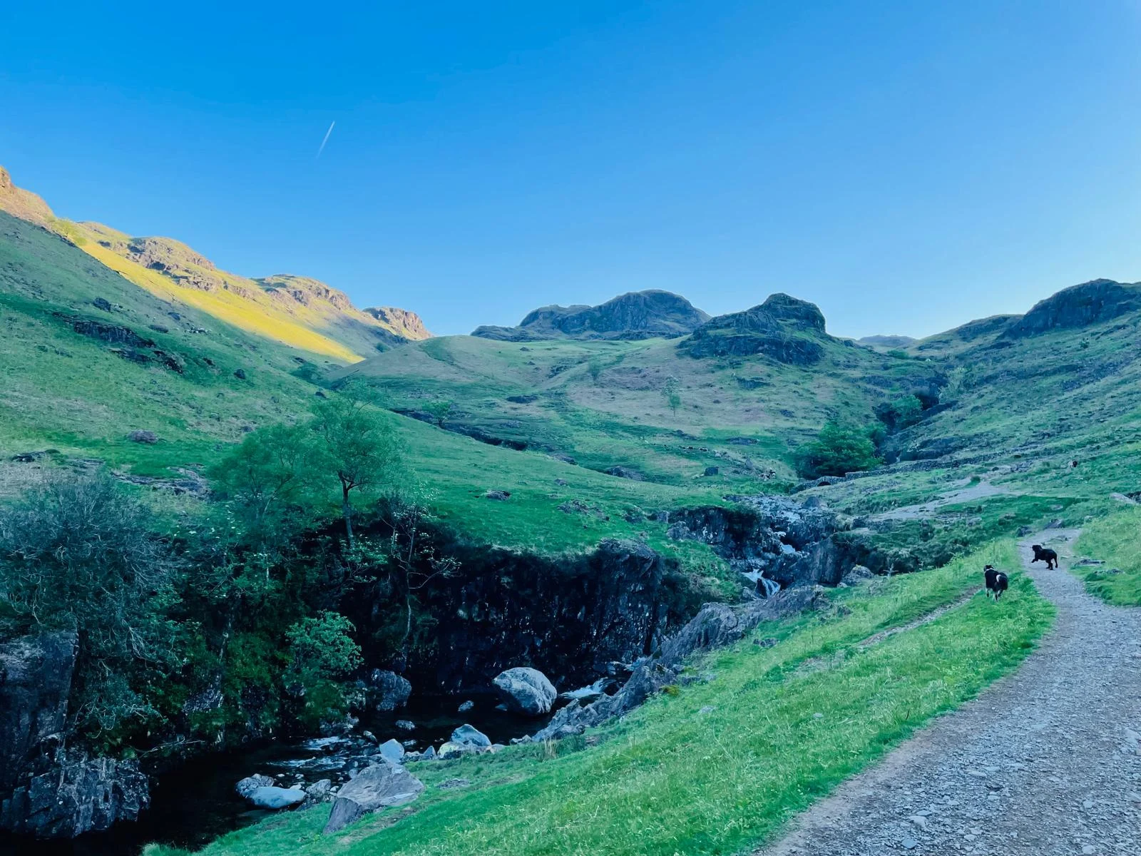 Exploring Upper Eskdale