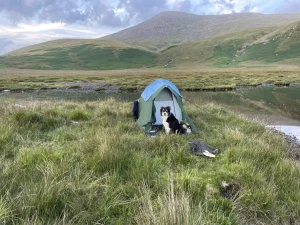 Wild Camping Course – Level 2: Hiking and Wild Camping